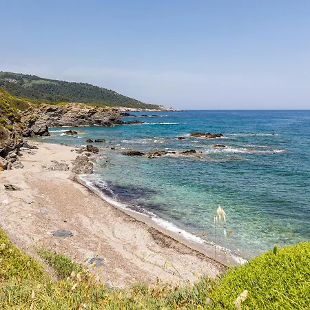 Nerissa - Skopelos Glossa Atheato